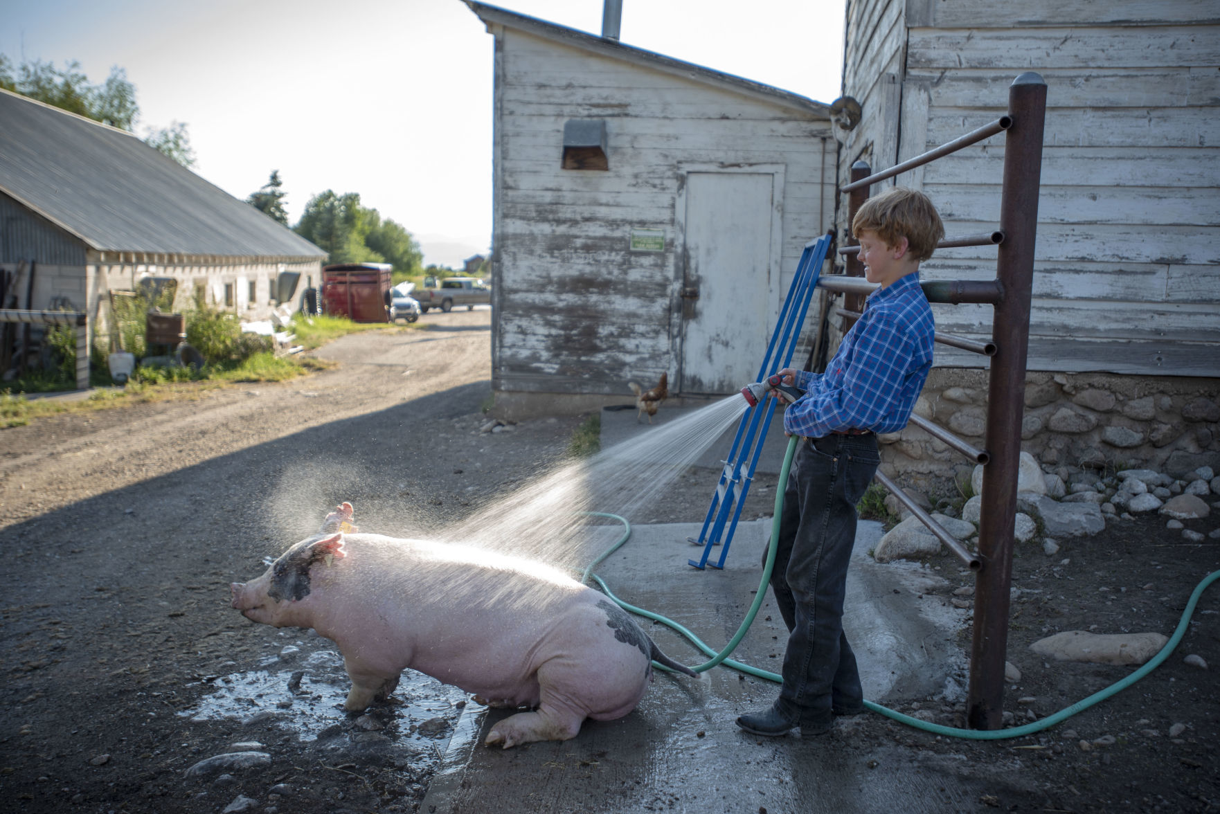 Wilson 4-H kids